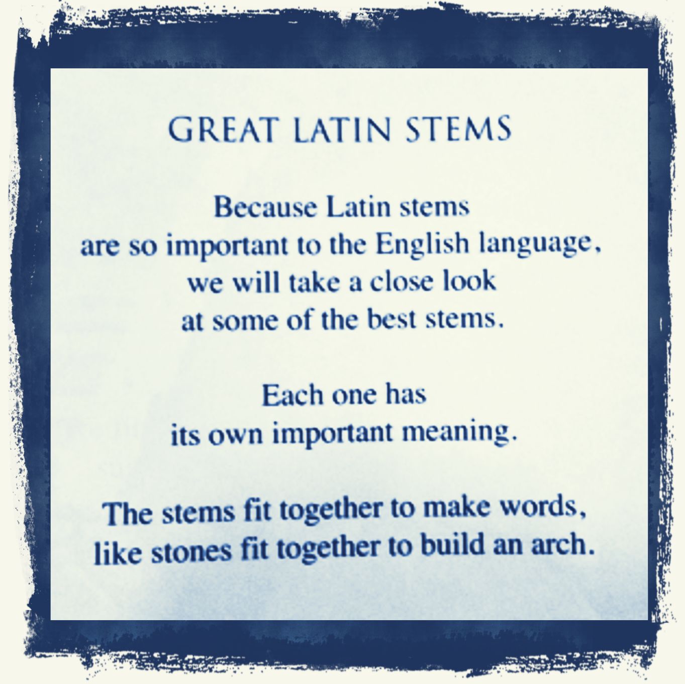 Importance Of Latin 25